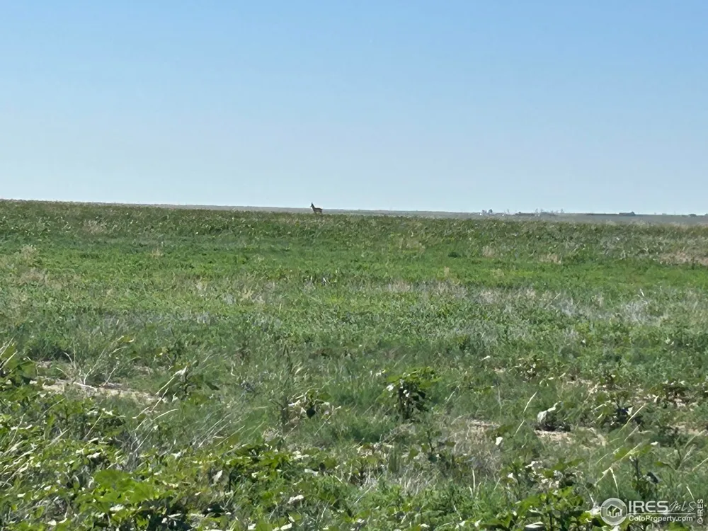 0 CR 74 Briggsdale, CO 80611