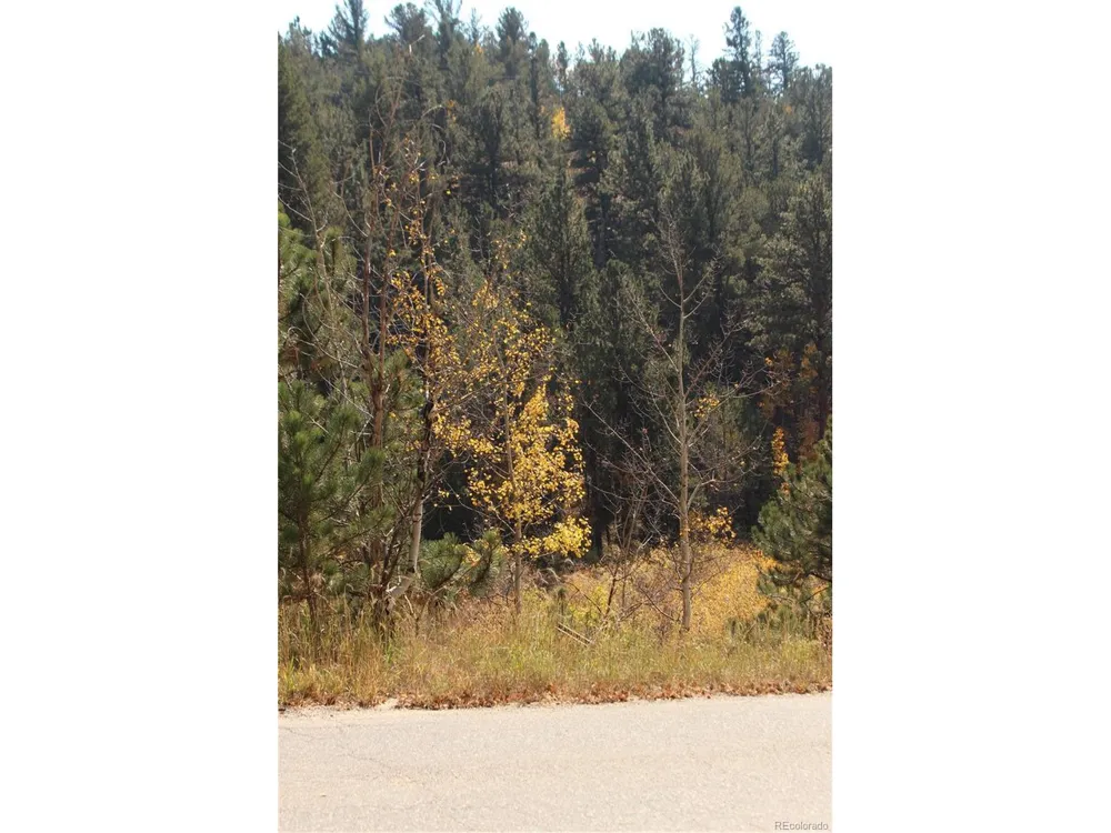 2020 Shelton Drive Bailey, CO 80421