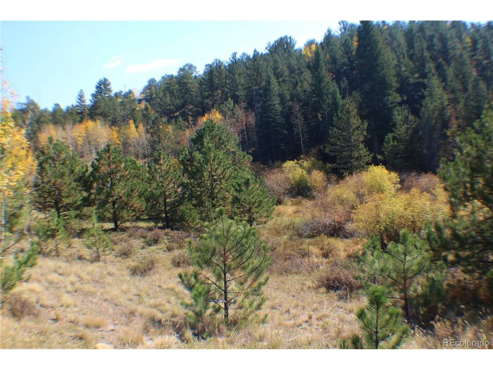 2020 Shelton Drive Bailey, CO 80421