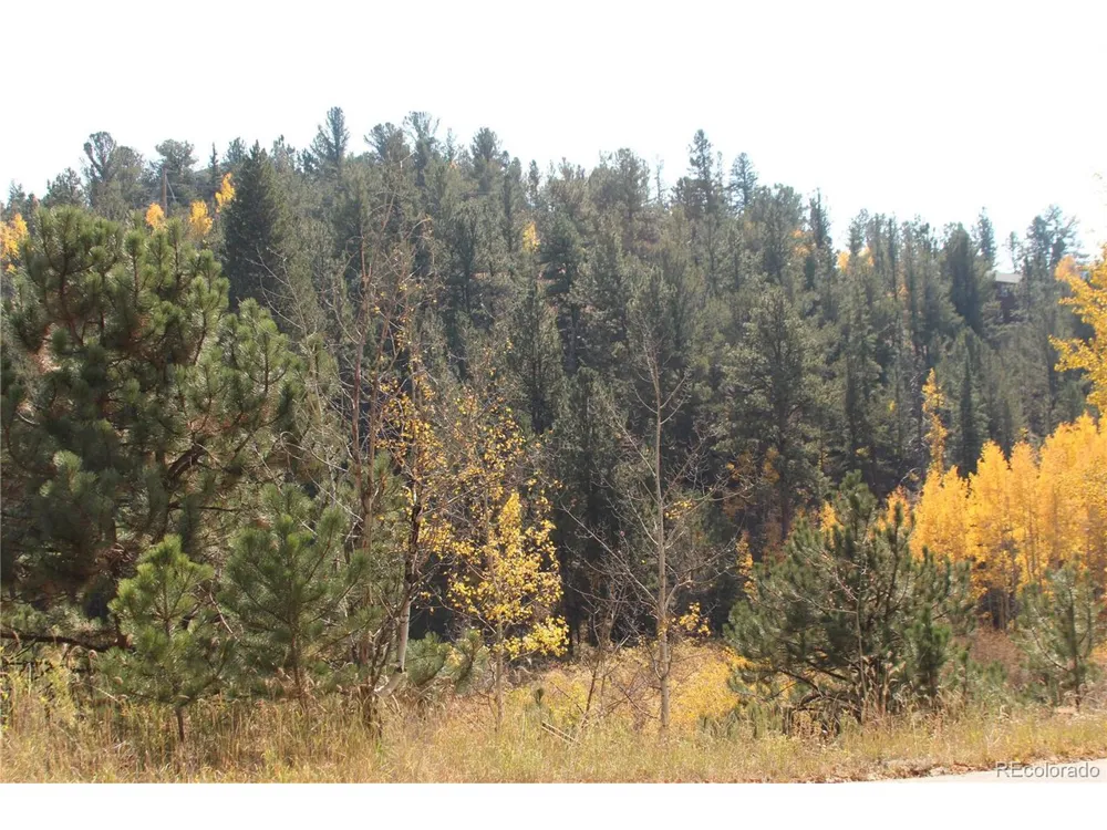 2020 Shelton Drive Bailey, CO 80421