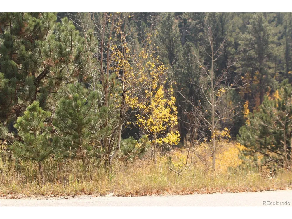 2020 Shelton Drive Bailey, CO 80421