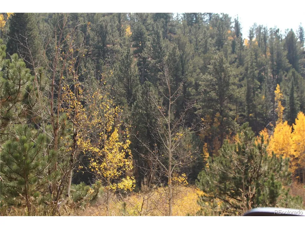 2020 Shelton Drive Bailey, CO 80421