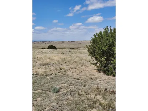 Address Not Shown