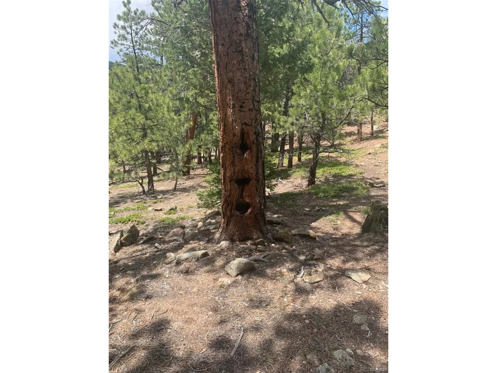 Address Not Shown Golden, CO 80403