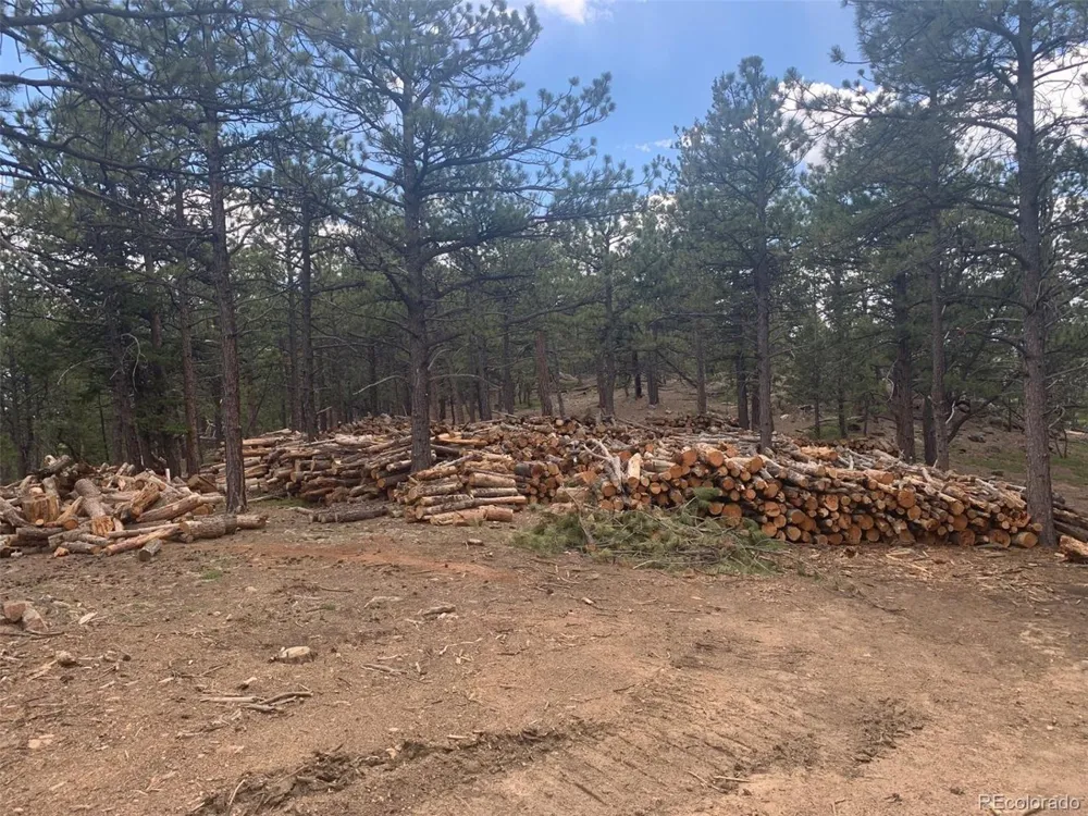 Address Not Shown Golden, CO 80403