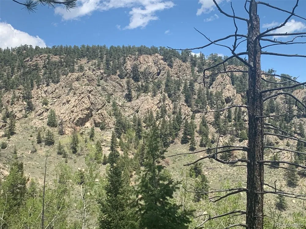 Address Not Shown Golden, CO 80403
