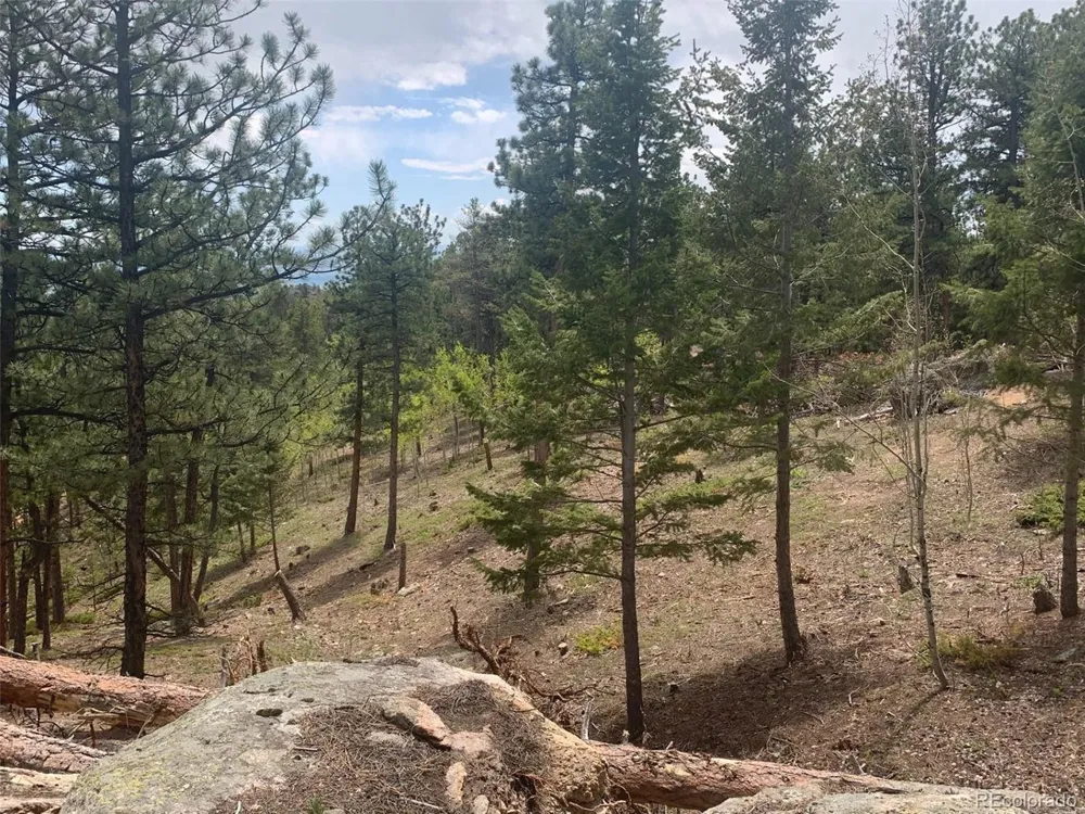 Address Not Shown Golden, CO 80403