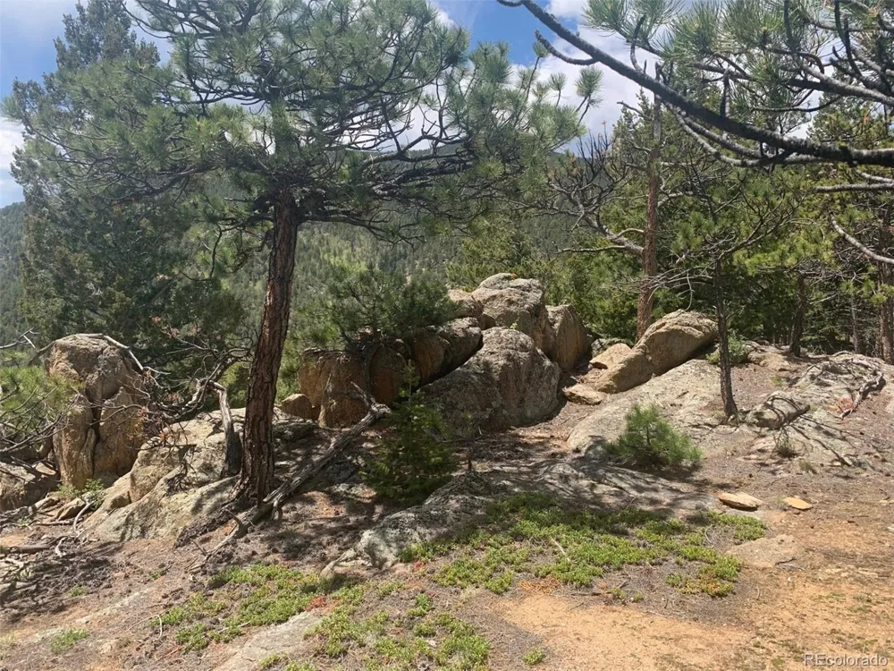 Address Not Shown Golden, CO 80403