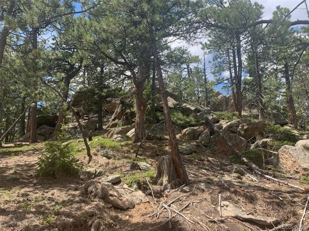Address Not Shown Golden, CO 80403