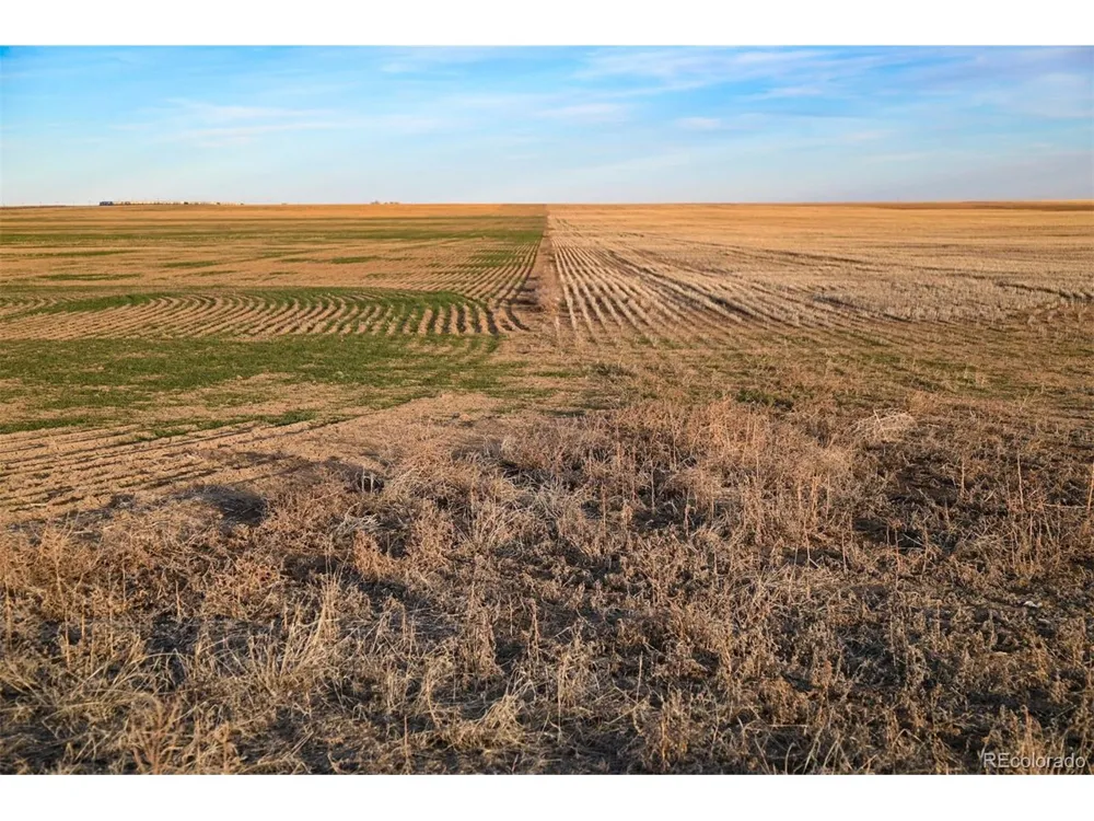 TBD County Road 30 Haswell, CO 81045