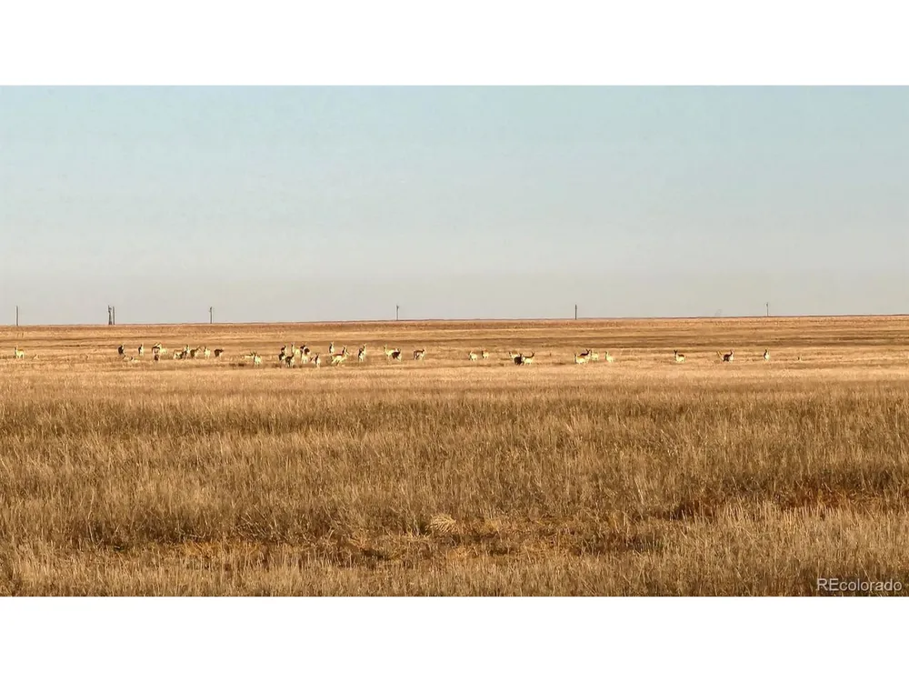 TBD County Road 30 Haswell, CO 81045