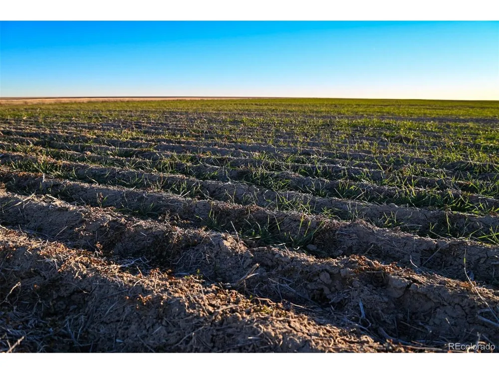 TBD County Road 30 Haswell, CO 81045