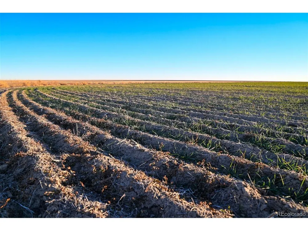 TBD County Road 30 Haswell, CO 81045
