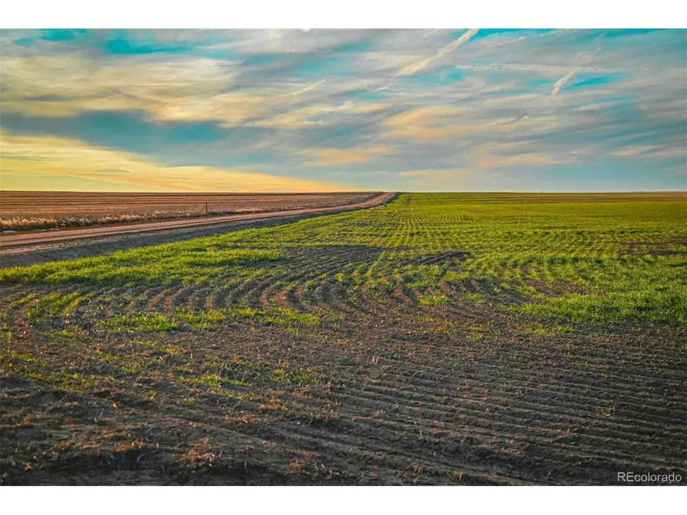 TBD County Road 30 Haswell, CO 81045