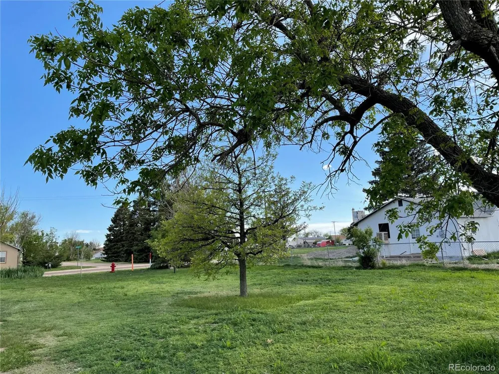 117 Lincoln Avenue Arriba, CO 80804