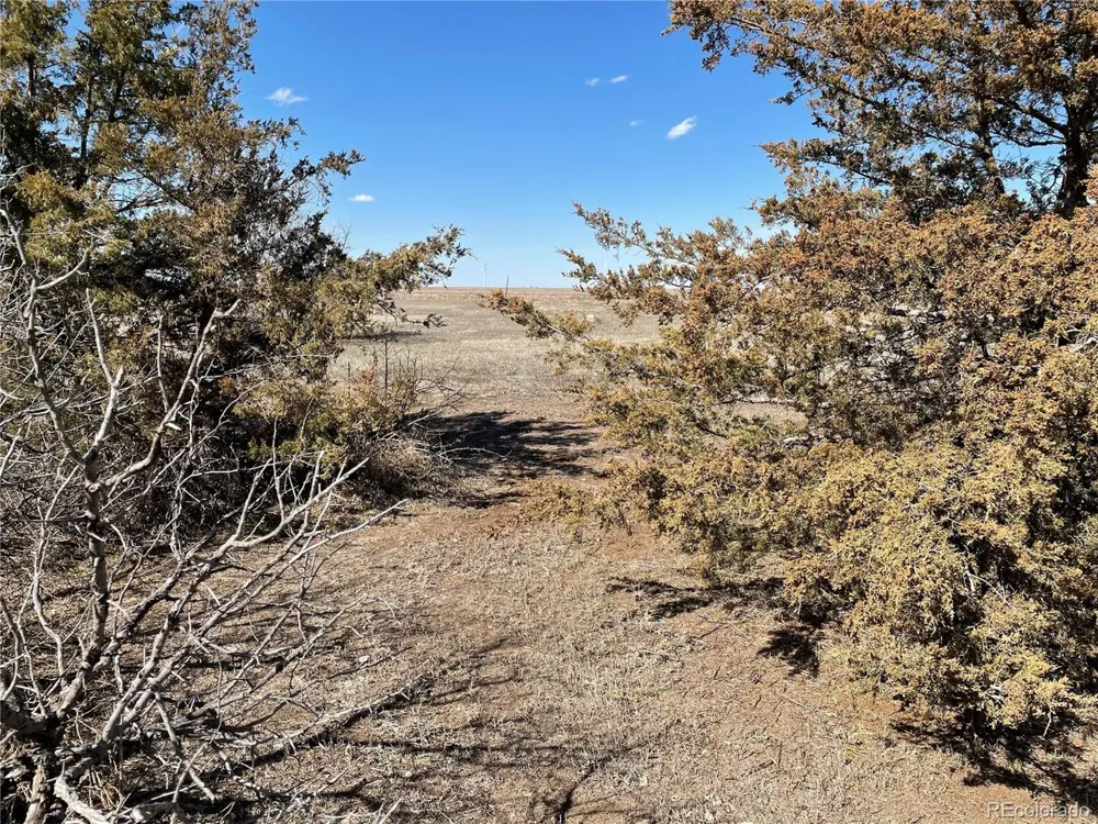 117 Lincoln Avenue Arriba, CO 80804