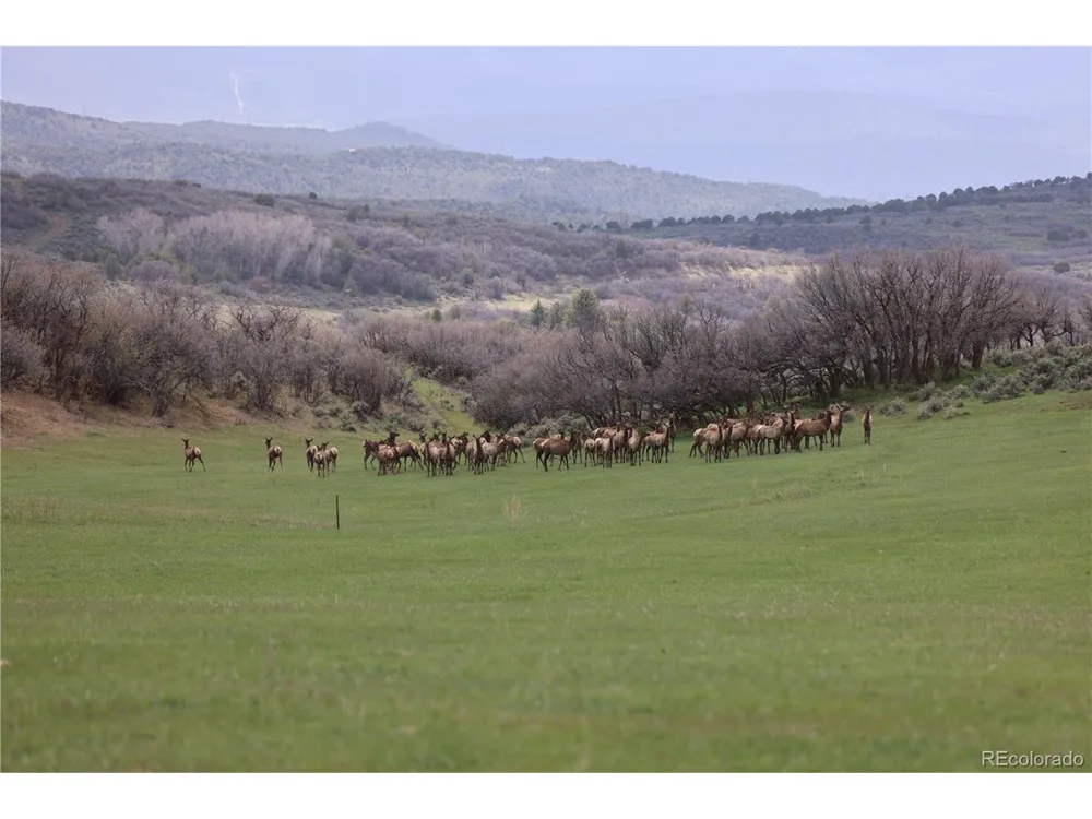 0 County Road 100 Carbondale, CO 81623