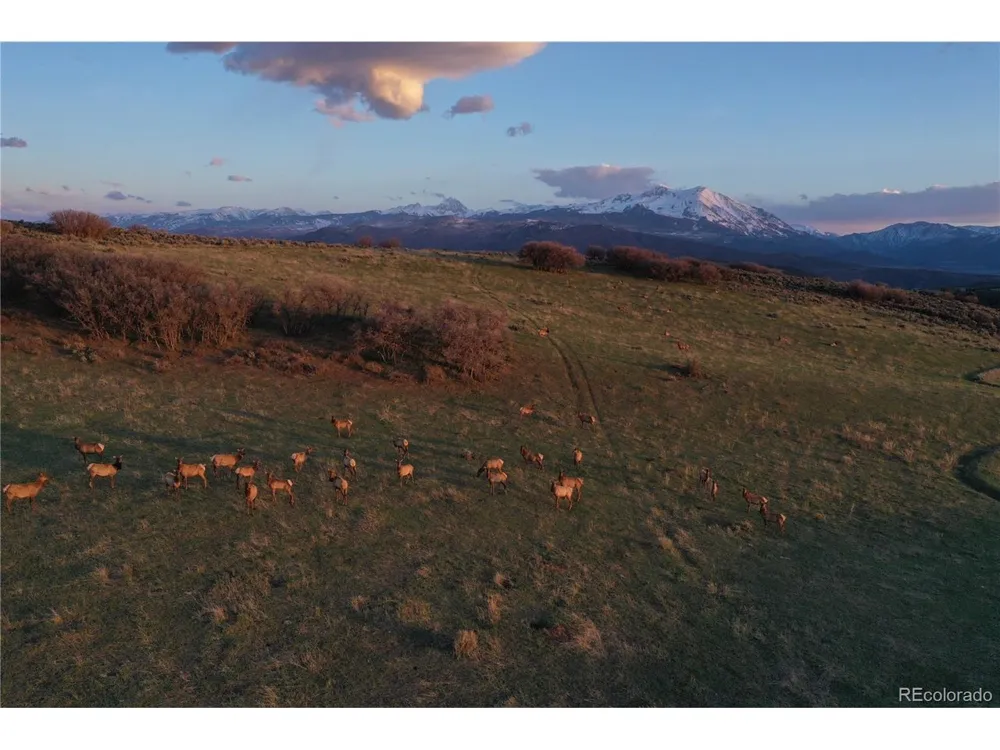 0 County Road 100 Carbondale, CO 81623