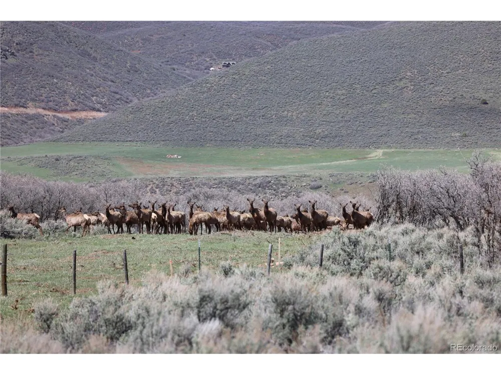 0 County Road 100 Carbondale, CO 81623