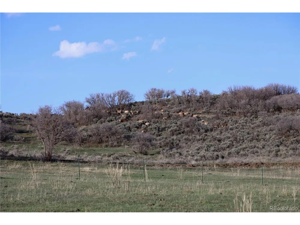 0 County Road 100 Carbondale, CO 81623