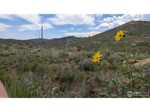 1324 Meadow Mountain Drive