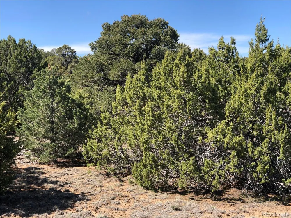 936 Rio Cucharas Phs #3 Walsenburg, CO 81089