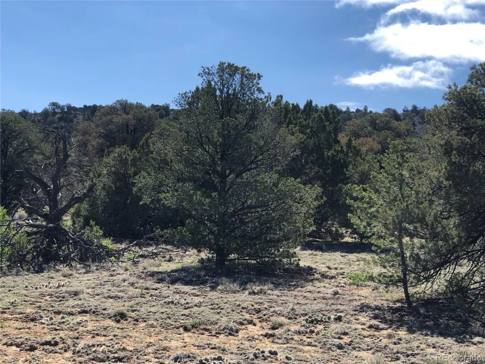 936 Rio Cucharas Phs #3 Walsenburg, CO 81089