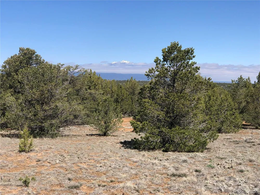 936 Rio Cucharas Phs #3 Walsenburg, CO 81089