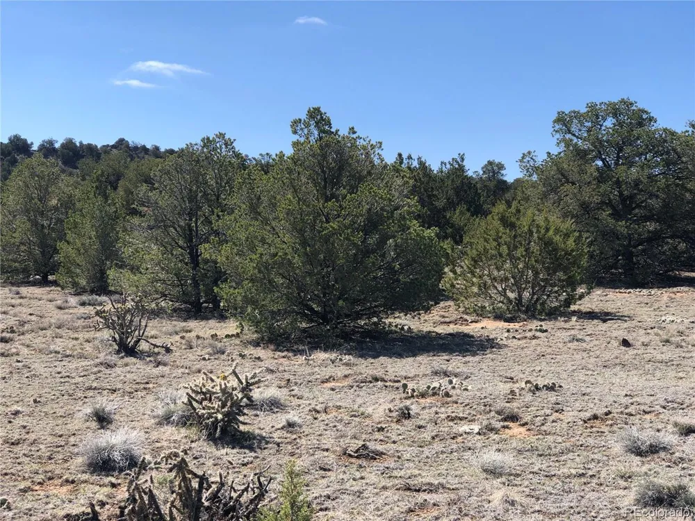 936 Rio Cucharas Phs #3 Walsenburg, CO 81089