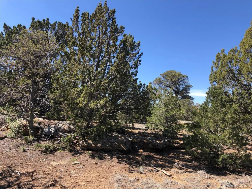 936 Rio Cucharas Phs #3 Walsenburg, CO 81089