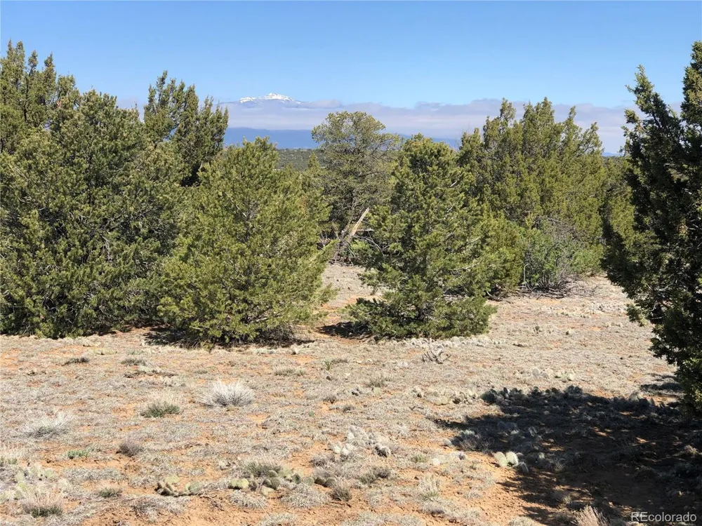 936 Rio Cucharas Phs #3 Walsenburg, CO 81089