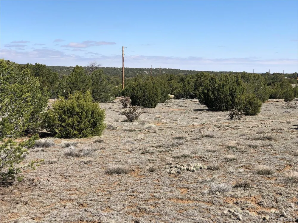 936 Rio Cucharas Phs #3 Walsenburg, CO 81089