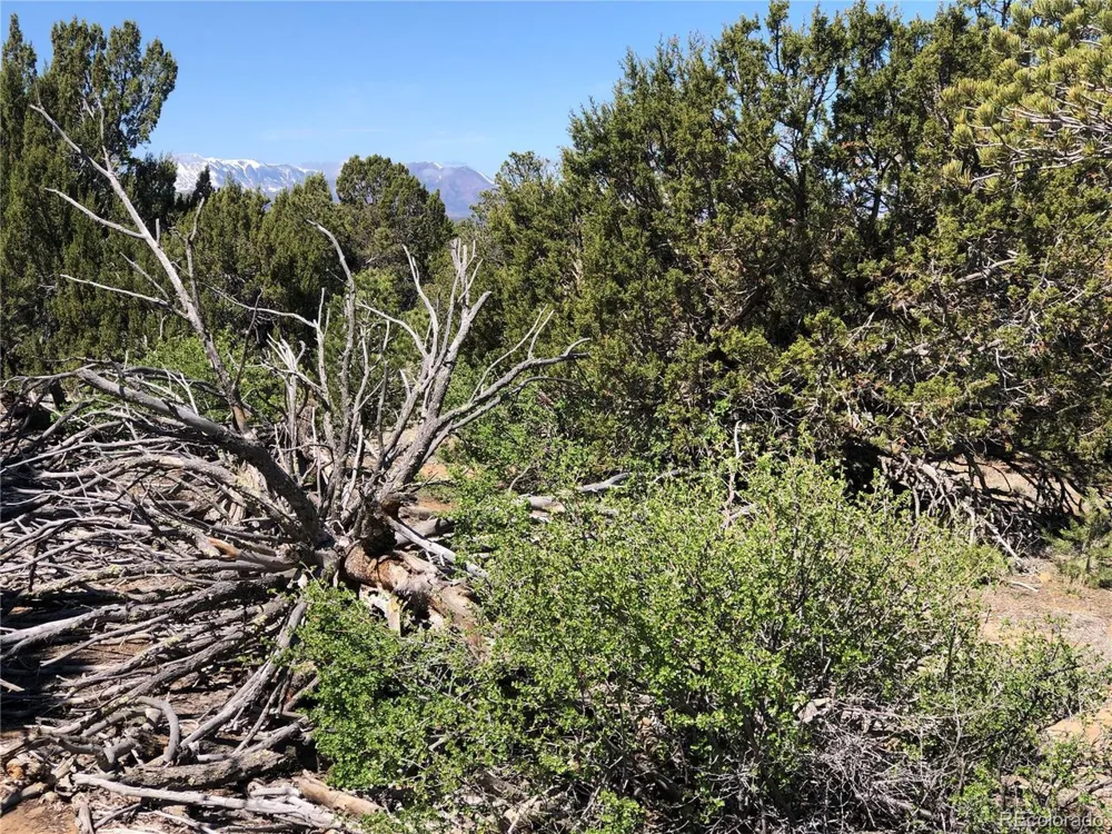 936 Rio Cucharas Phs #3 Walsenburg, CO 81089