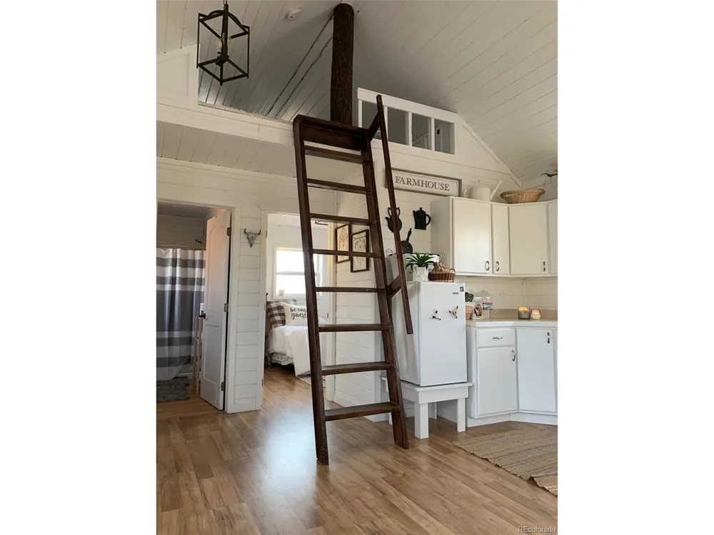 27028 Garo Park Drive Blanca, CO 81123