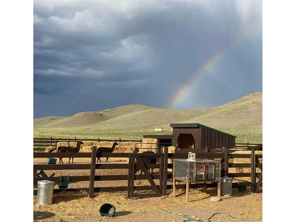 27028 Garo Park Drive Blanca, CO 81123