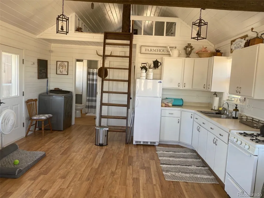 27028 Garo Park Drive Blanca, CO 81123