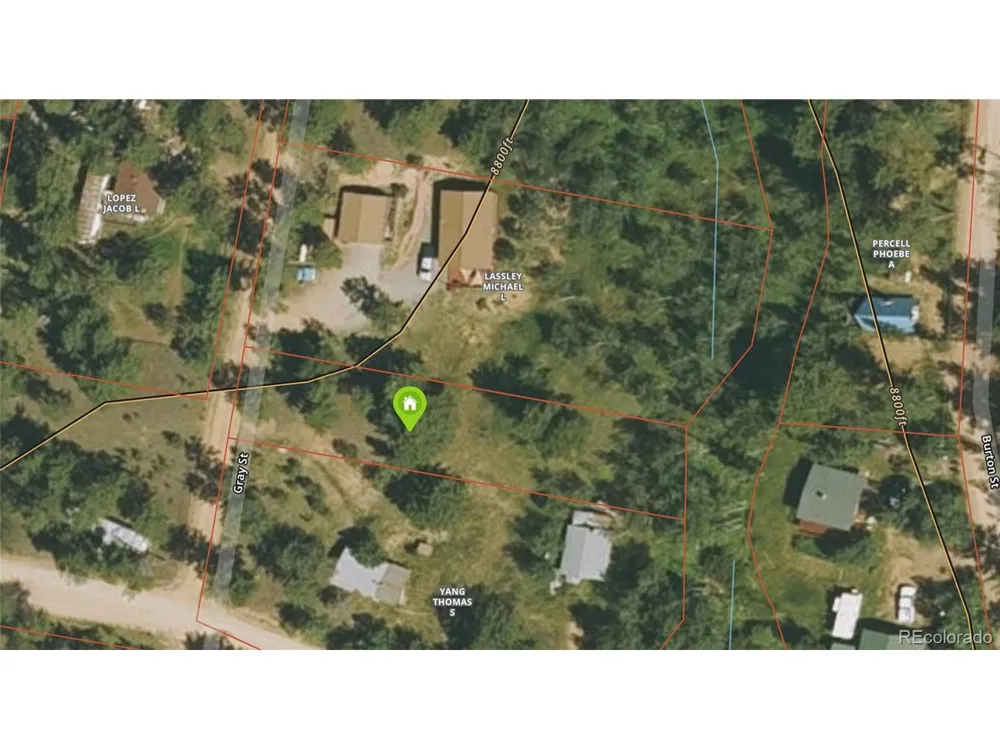 116 Neal Street Bailey, CO 80421
