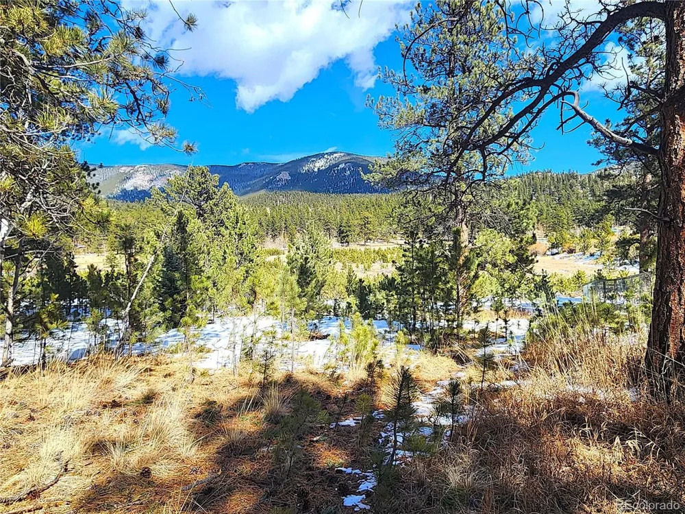 116 Neal Street Bailey, CO 80421