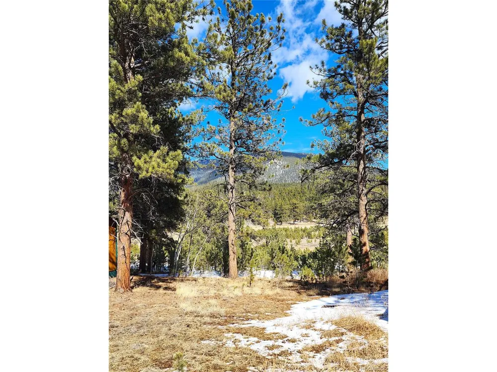 116 Neal Street Bailey, CO 80421