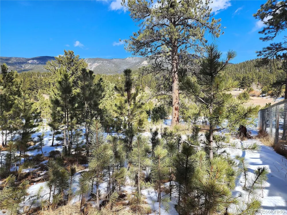 116 Neal Street Bailey, CO 80421