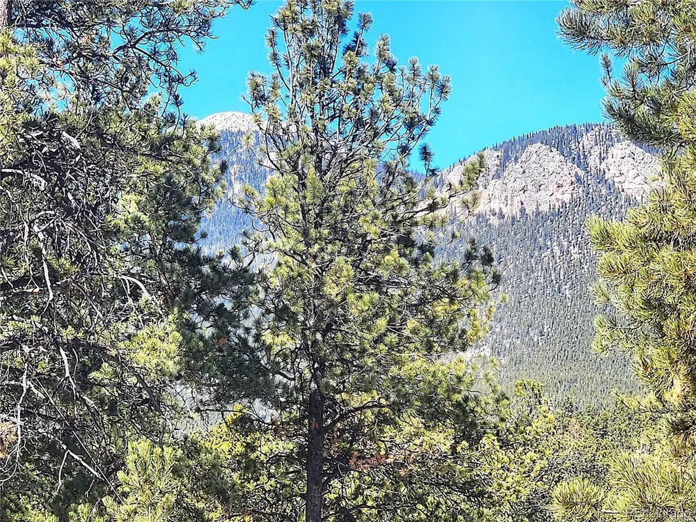 116 Neal Street Bailey, CO 80421