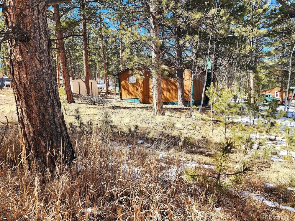116 Neal Street Bailey, CO 80421