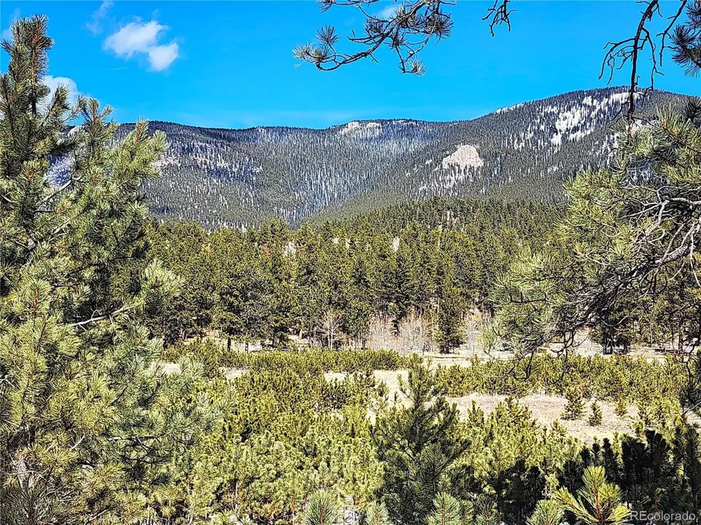 116 Neal Street Bailey, CO 80421
