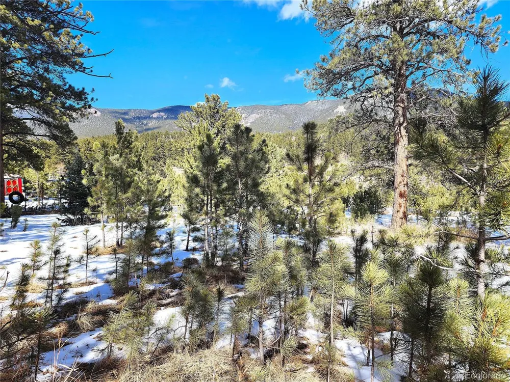 116 Neal Street Bailey, CO 80421