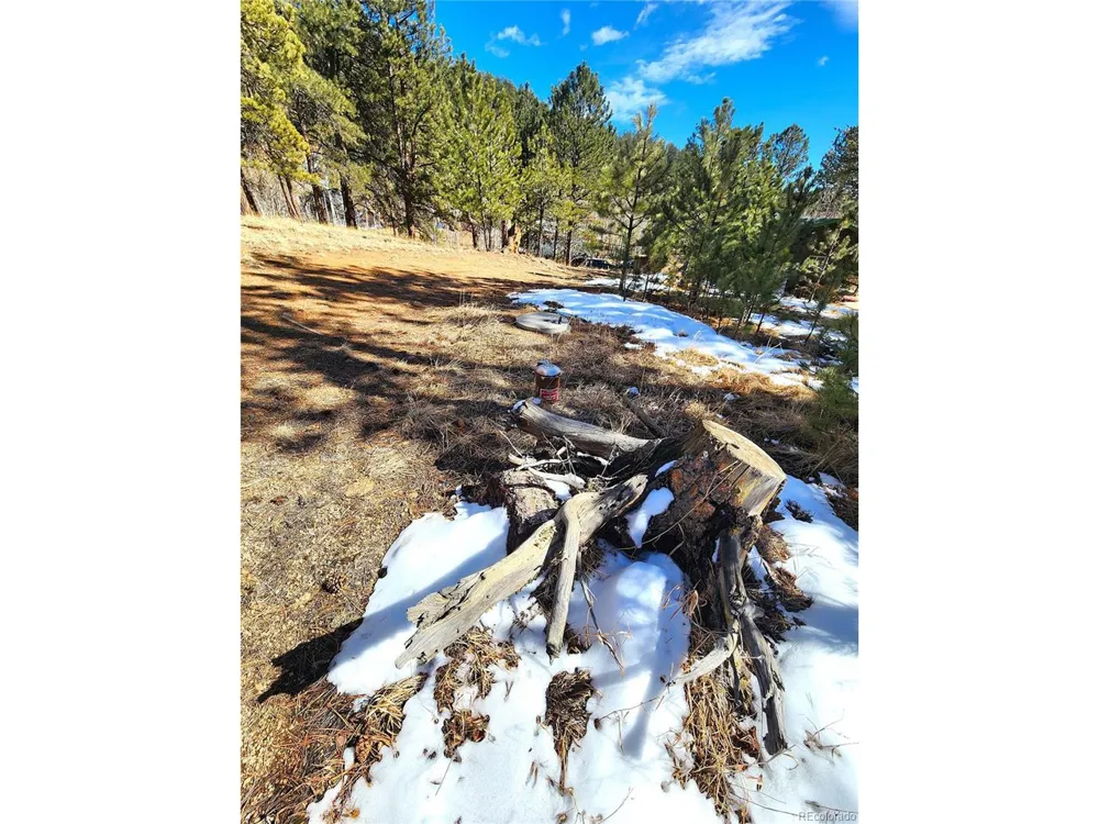 144 Gray Street Bailey, CO 80421