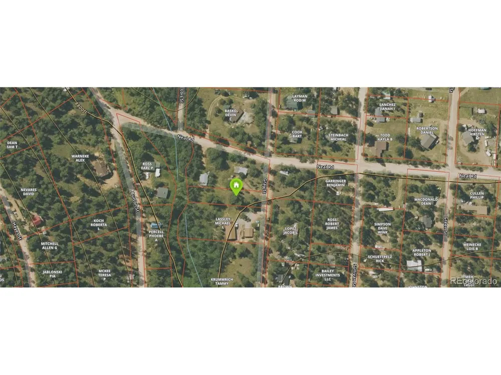 144 Gray Street Bailey, CO 80421