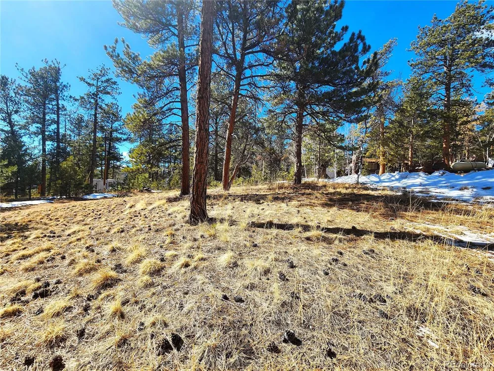 144 Gray Street Bailey, CO 80421