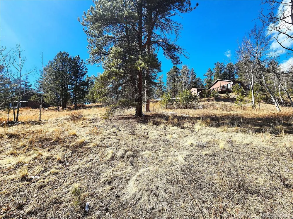 144 Gray Street Bailey, CO 80421