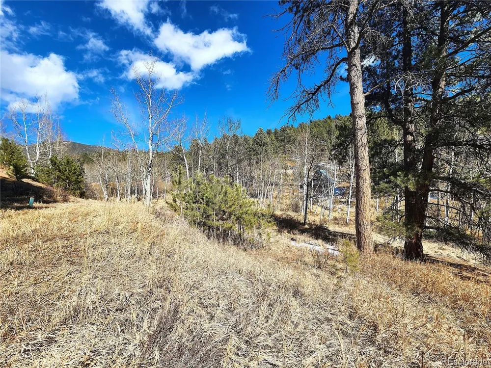 144 Gray Street Bailey, CO 80421