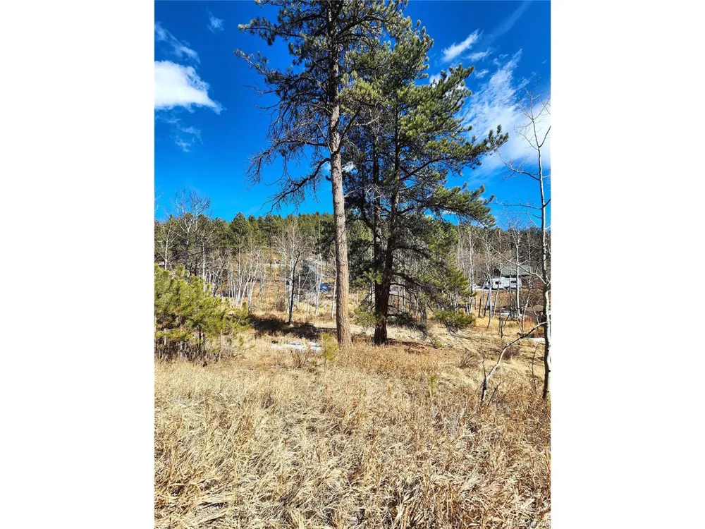 144 Gray Street Bailey, CO 80421